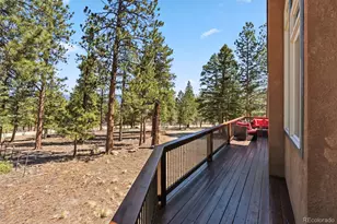 30477 Harvard Cir, Buena Vista, CO 81211 - Photo 41
