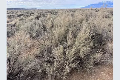 Lot 27 Dante Road, Fort Garland, CO 81133 - Photo 11