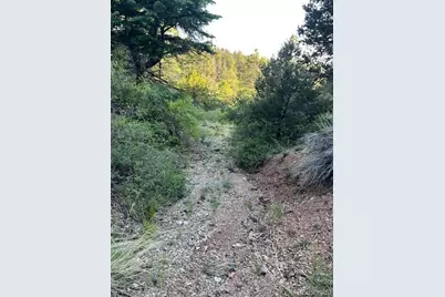 Lot 5693 Balleroy Road, San Luis, CO 81152 - Photo 11