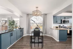 1494 Braewood Ave, Highlands Ranch, CO 80129 - Photo 9