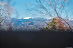 1494 Braewood Ave, Highlands Ranch, CO 80129 - Photo 41