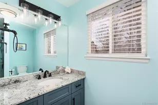 1494 Braewood Ave, Highlands Ranch, CO 80129 - Photo 35