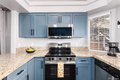 1494 Braewood Avenue, Highlands Ranch, CO 80129 - Photo 11