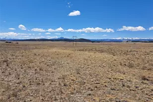 1356 Larimer Rd, Hartsel, CO 80449 - Photo 1