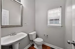 1607 Wild Blossom Way, Castle Rock, CO 80104 - Photo 29