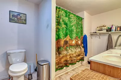 633 Karlann Drive, Black Hawk, CO 80422 - Photo 23
