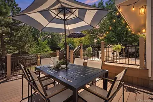 9676 Promenade Pl, Highlands Ranch, CO 80126 - Photo 39