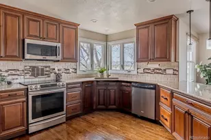 1914 Terrace Dr, Highlands Ranch, CO 80126 - Photo 9