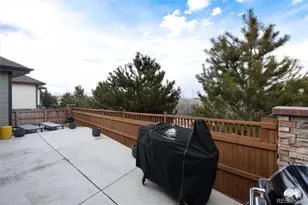 6609 Pinery Villa Pl, Parker, CO 80134 - Photo 37