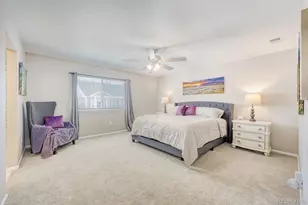 4647 Gray Wolf Ln, Castle Rock, CO 80104 - Photo 11