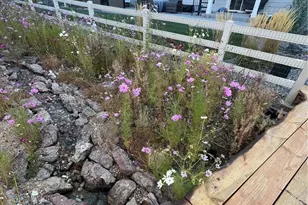 4647 Gray Wolf Ln, Castle Rock, CO 80104 - Photo 27