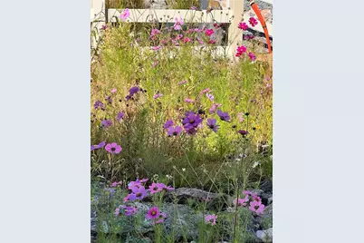 4647 Gray Wolf Lane, Castle Rock, CO 80104 - Photo 29