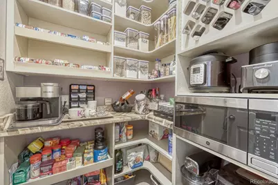 4647 Gray Wolf Lane, Castle Rock, CO 80104 - Photo 7