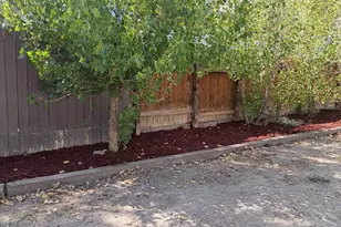349 E Stewart Dr, Pueblo, CO 81007 - Photo 9