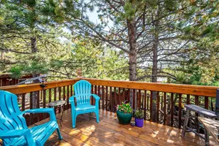 13851 Pine Valley Rd, Pine, CO 80470 - Photo 11
