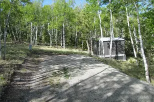 944 Brahma Cir, Hartsel, CO 80449 - Photo 1
