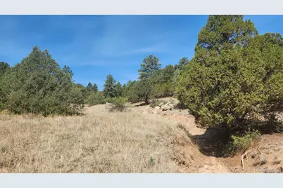 161 Ponderosa Lane, Cotopaxi, CO 81223 - Photo 21