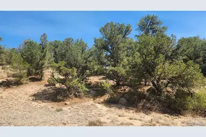 161 Ponderosa Lane, Cotopaxi, CO 81223 - Photo 19