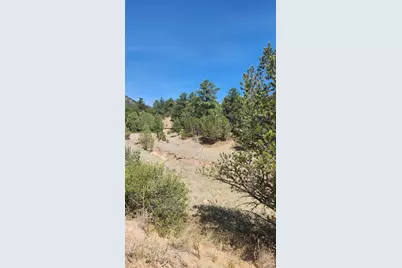 161 Ponderosa Lane, Cotopaxi, CO 81223 - Photo 7