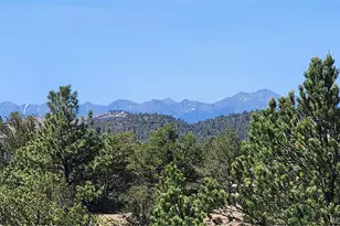 161 Ponderosa Ln, Cotopaxi, CO 81223 - Photo 1