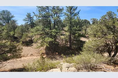 161 Ponderosa Lane, Cotopaxi, CO 81223 - Photo 31