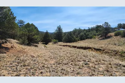 161 Ponderosa Lane, Cotopaxi, CO 81223 - Photo 35