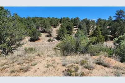 161 Ponderosa Lane, Cotopaxi, CO 81223 - Photo 37