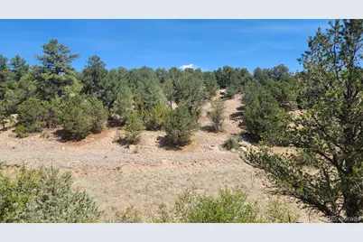 161 Ponderosa Lane, Cotopaxi, CO 81223 - Photo 3