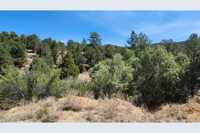 161 Ponderosa Lane, Cotopaxi, CO 81223 - Photo 23