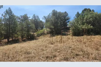 161 Ponderosa Lane, Cotopaxi, CO 81223 - Photo 17