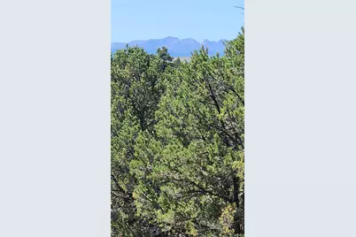 161 Ponderosa Lane, Cotopaxi, CO 81223 - Photo 5