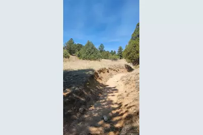 161 Ponderosa Lane, Cotopaxi, CO 81223 - Photo 29