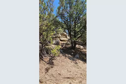 161 Ponderosa Lane, Cotopaxi, CO 81223 - Photo 33