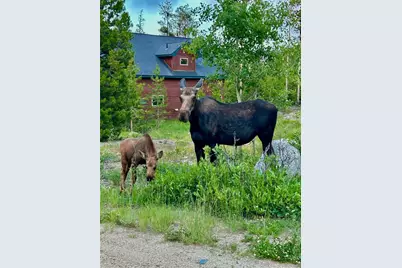 1384 Gcr 494, Grand Lake, CO 80447 - Photo 29