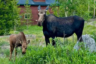 1384 Gcr 494, Grand Lake, CO 80447 - Photo 29