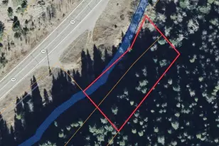 00 Hwy 103, Idaho Springs, CO 80452 - Photo 1