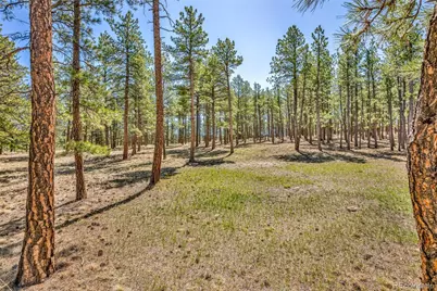453 Black Fawn Lane, Westcliffe, CO 81252 - Photo 29