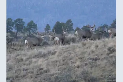 Lot 129 Flavin Lane, Fort Garland, CO 81133 - Photo 31