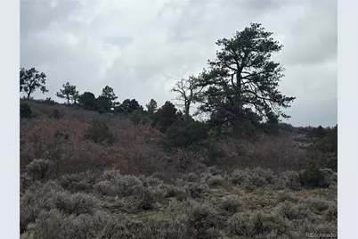 Lot 129 Flavin Lane, Fort Garland, CO 81133 - Photo 9