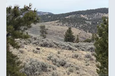 Lot 129 Flavin Lane, Fort Garland, CO 81133 - Photo 21