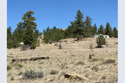 595 Bridle Path, Hartsel, CO 80449 - Photo 11