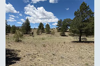 595 Bridle Path, Hartsel, CO 80449 - Photo 1