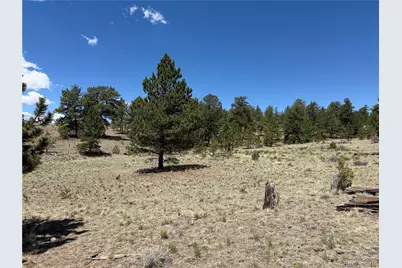 595 Bridle Path, Hartsel, CO 80449 - Photo 3