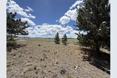 595 Bridle Path, Hartsel, CO 80449 - Photo 9