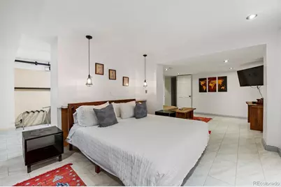 1437 Columbine Street, Denver, CO 80206 - Photo 21