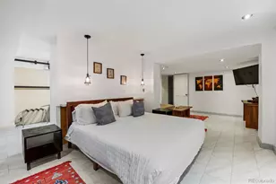 1437 Columbine St, Denver, CO 80206 - Photo 21