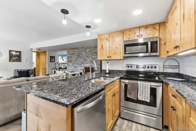 423 Wild Irishman Road #13202, Dillon, CO 80435 - Photo 1