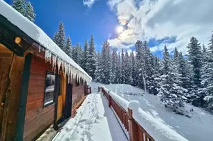 232 Goldfinch Pl, Alma, CO 80420 - Photo 45