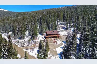 232 Goldfinch Place, Alma, CO 80420 - Photo 43