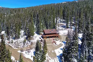 232 Goldfinch Pl, Alma, CO 80420 - Photo 43